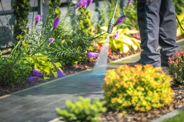 Professional Pressure Washing Services in Gold Canyon, AZ